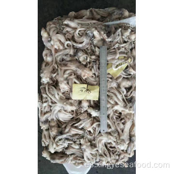 Tentacle Squid Frozen Illex Argentinus 80-100G